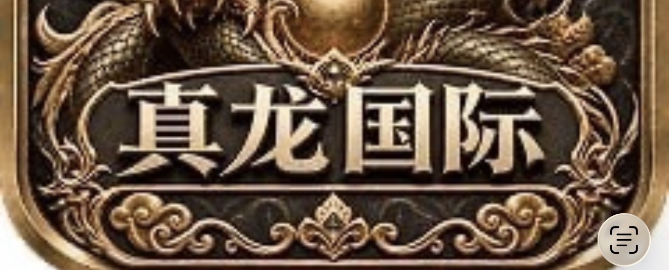 真龙国际